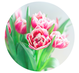 Same day Flowers Blackwall